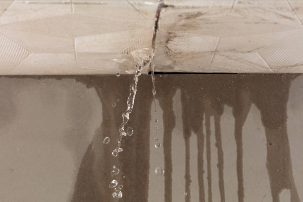 Professional Sewage Cleanup technician working in Springfield, MN